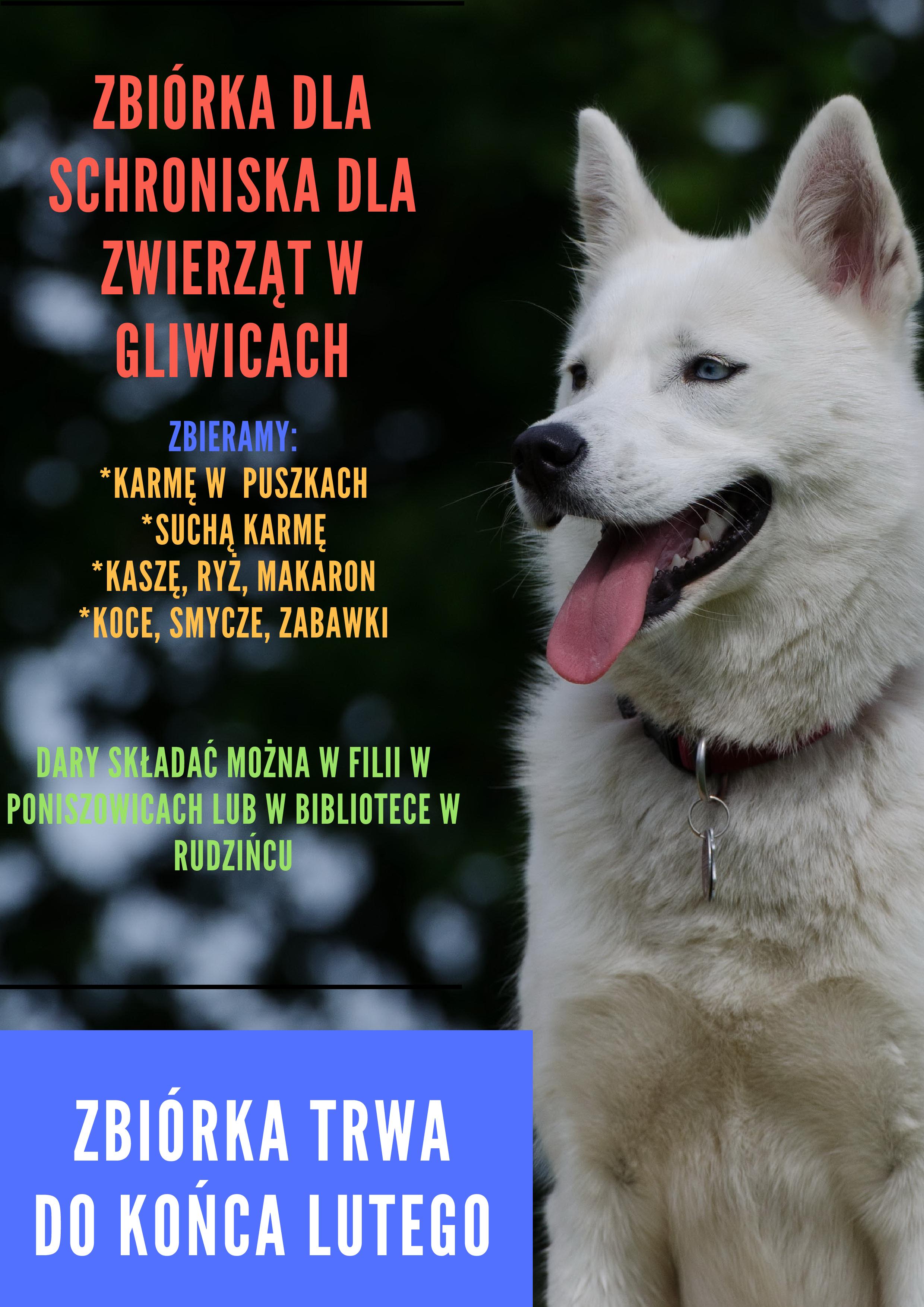 Plakat - zbiórka dla schroniska dla zwierząt w gliwicach